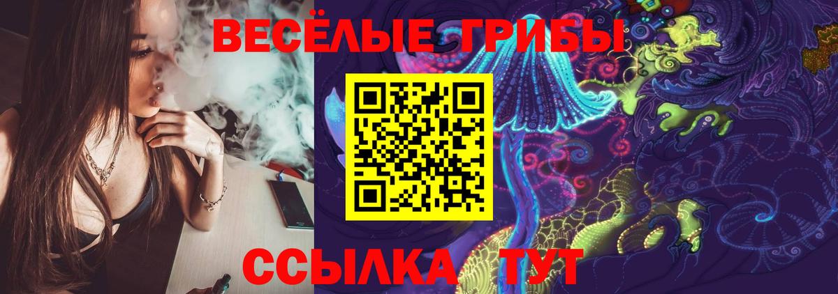 Подольск  Псилоцибиновые грибы GOLDEN TEACHER  Галлюциногенные грибы мицелий  Вход с VPN 